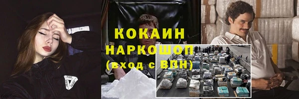 хмурый Лиски