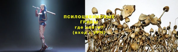 твердый Липки