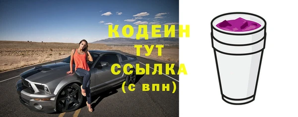хмурый Лиски