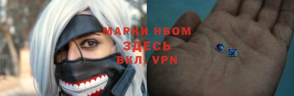 хмурый Лиски