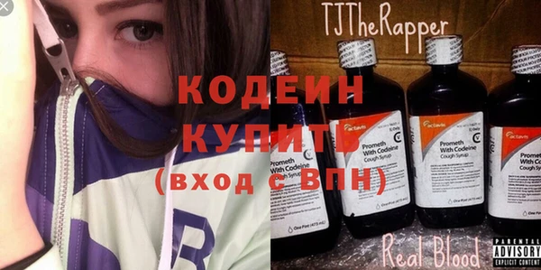хмурый Лиски